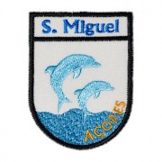 São Miguel Açores golfinhos