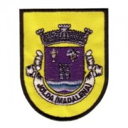 emblema-freguesia-jolda-madalena-def