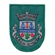 emblema-freguesia-s-miguel-de-poiares-def