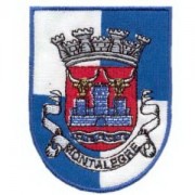 emblema-vila-montalegre-def