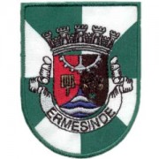 emblema cidade Ermesinde.def