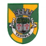 emblema cidade Tondela.def