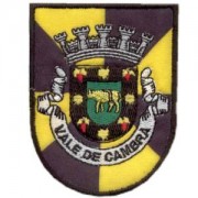 emblema cidade Vale Cambra.def